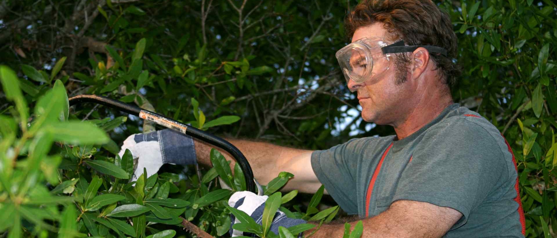 garden clearance IG9